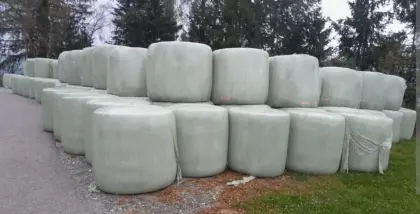 Suche Siloballen, Silageballen, Heu
