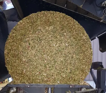 Maissilageballen mit Kolbenanteil