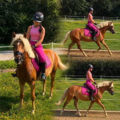 Bildhübscher Haflinger Wallach Spirit