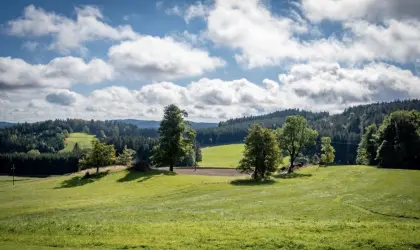 Suche Pachtflächen