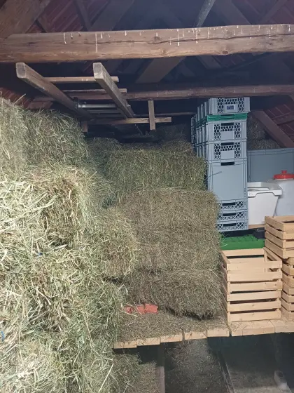 Heu-Kleinballen aus Ernte 2026, Grummet und Magerwiesenheu