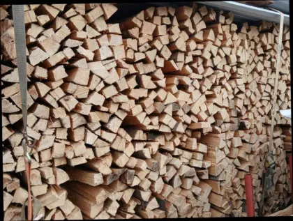 Brennholz