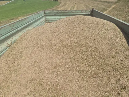 Bio-Roggen Bio Austria Zertifikat