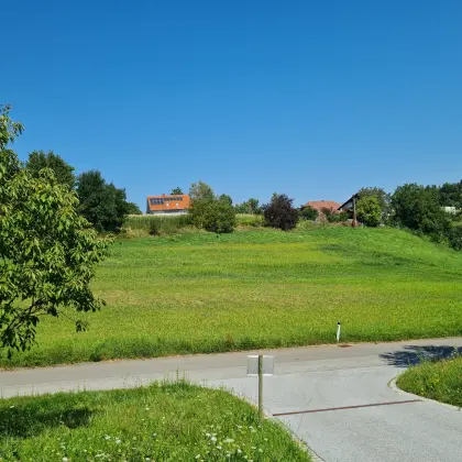 Gras oder Heu zu vergeben