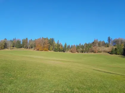 17 ha Wiesen, Weidefläche und Wald