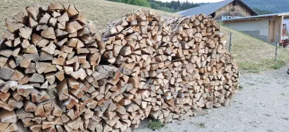 Buchenholz gebündelt
