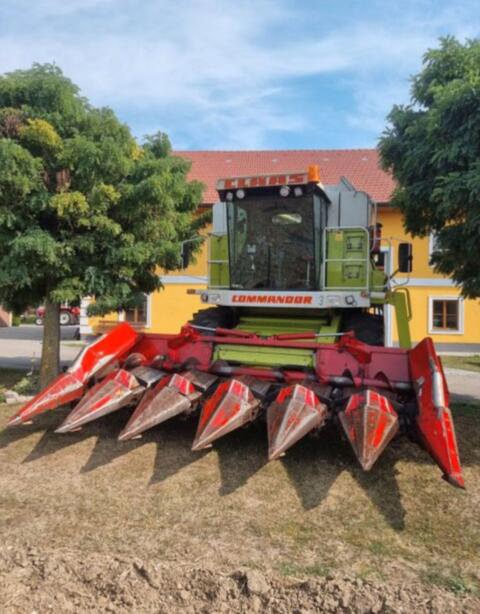 OROS Maispflücker in Top-Zustand, 6-reihig, 75/70 cm