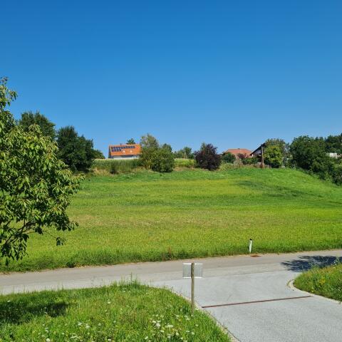 Gras oder Heu zu vergeben