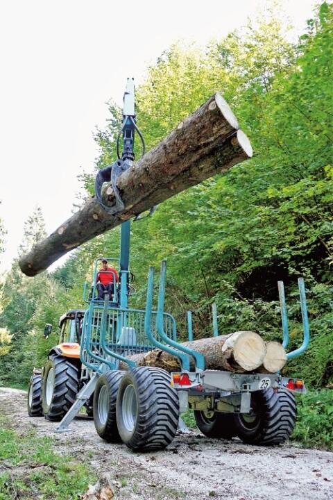 Holzrücken mit Kranwagen