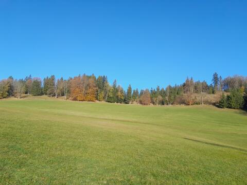 17 ha Wiesen, Weidefläche und Wald