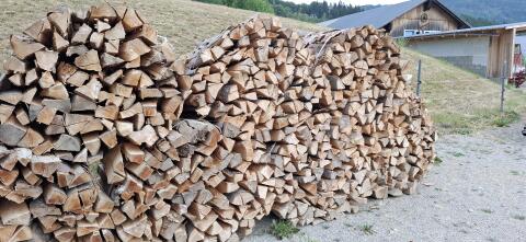 Buchenholz gebündelt