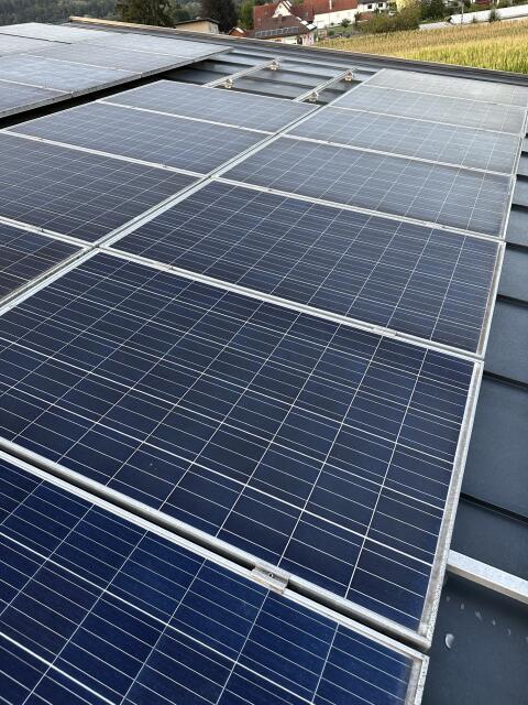 Photovoltaikmodule Trina Solar 250 W gebraucht TSM-250PC05A