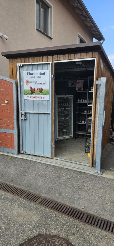 Holz, Wachtelprodukte, Zwiebeln, Hühnereier, Honig