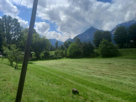 Suche 1–2 ha Grünland zur Pacht