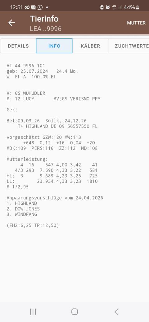 Trächtige Bio-Kalbinnen abzugeben