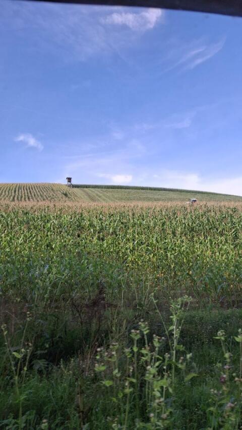 Pachtgrund
