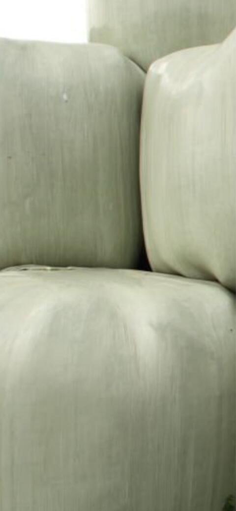 Maissilageballen