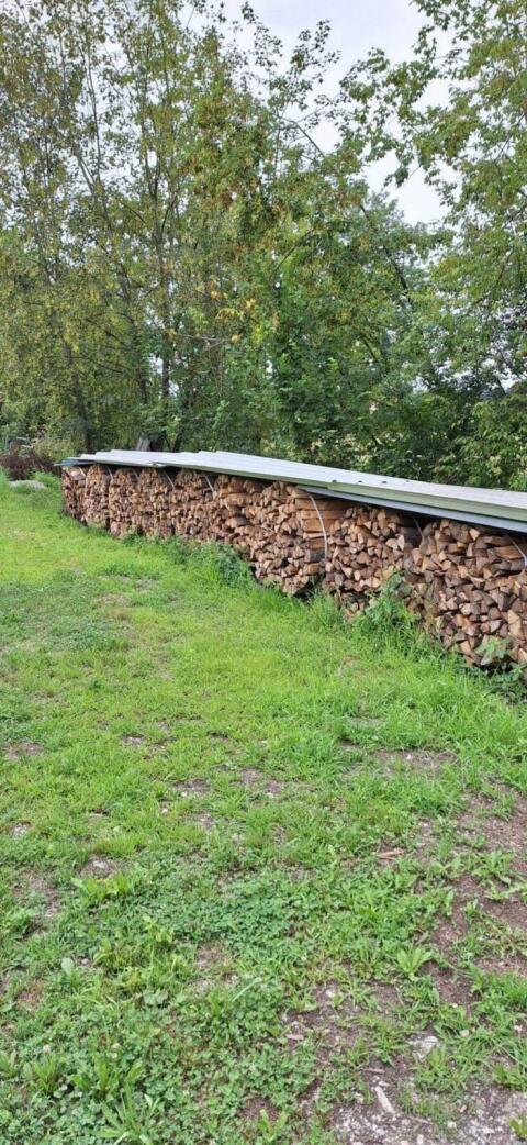 Brennholz Esche