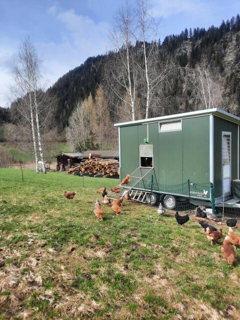 Mobiler Hühnerstall Kerstroer 120