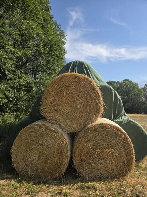 Stroh-Rundballen