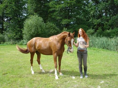 Suche dringend Heuballen