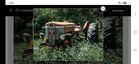 Motorhaube Massey Ferguson 65X