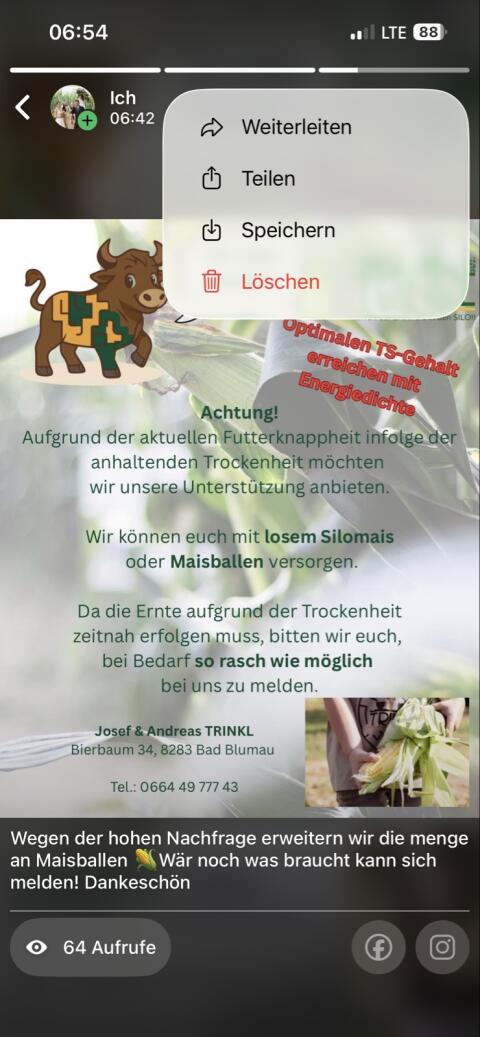 Maisballen