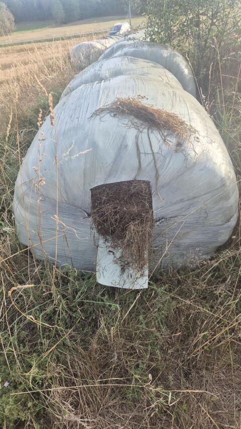 Bio-Silageballen