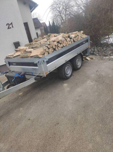 Brennholz