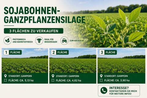 Sojabohnen-Ganzpflanzensilage