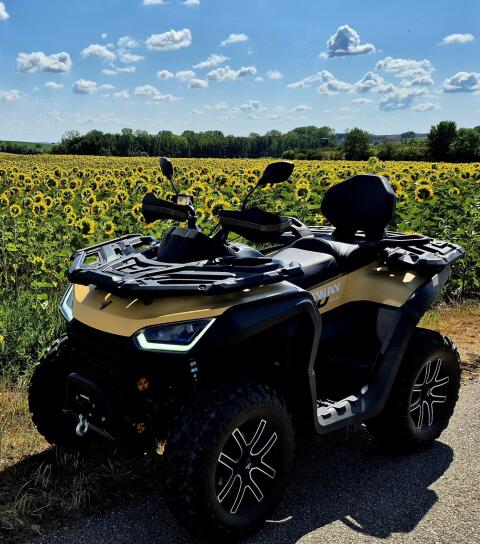 Segway Snarler Quad AT 10 DLX T3b ABS 5 Jahre Garantie Quad
