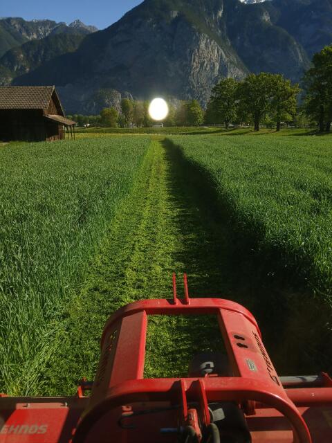 Mulcharbeiten