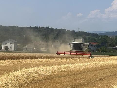 Verkaufe Stroh