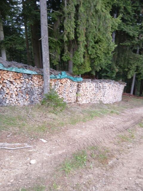 Brennholz: Esche, Buche, Ahorn gemischt