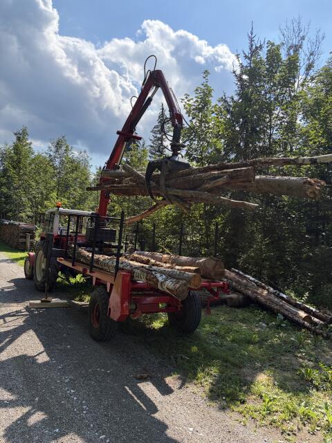 Krananhänger (Eigenbau)