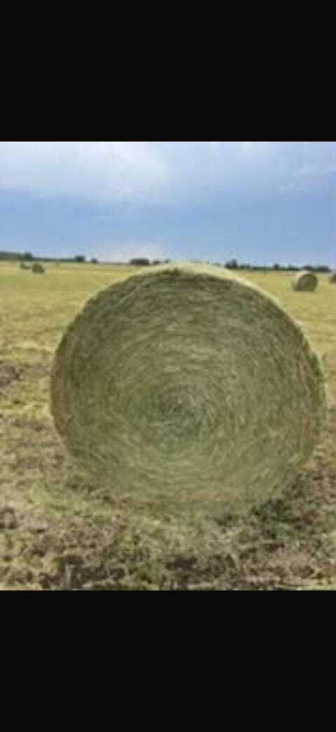 Rundballen, Heu 2. Schnitt 2026, 140 cm