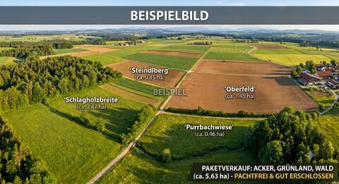 Bestens erschlossen, sofort verfügbar: Acker, Grünland und Wald