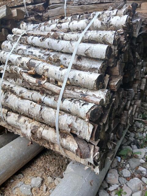 Holzbündel, Birke