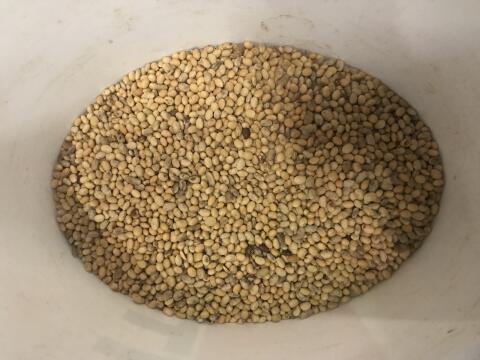 BIO-Futtersoja