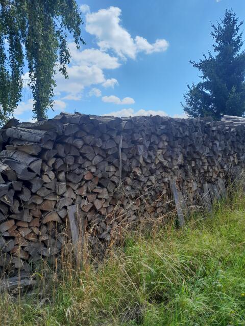 Brennholz