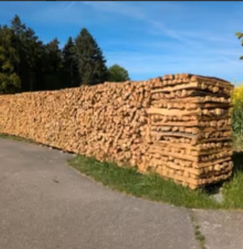 Brennholz Buche