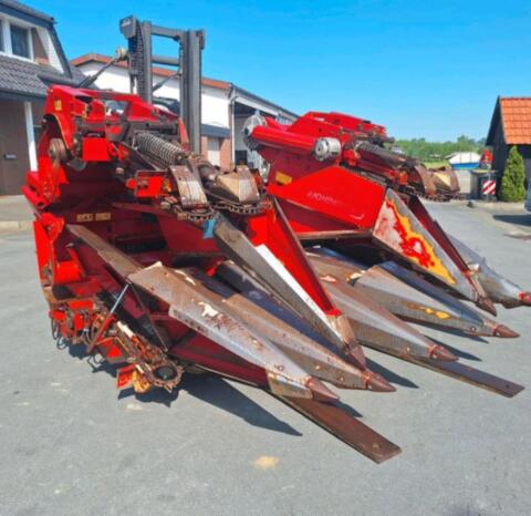 Geringhoff Rota Disc 6-reihiger Maisrödner, Claas