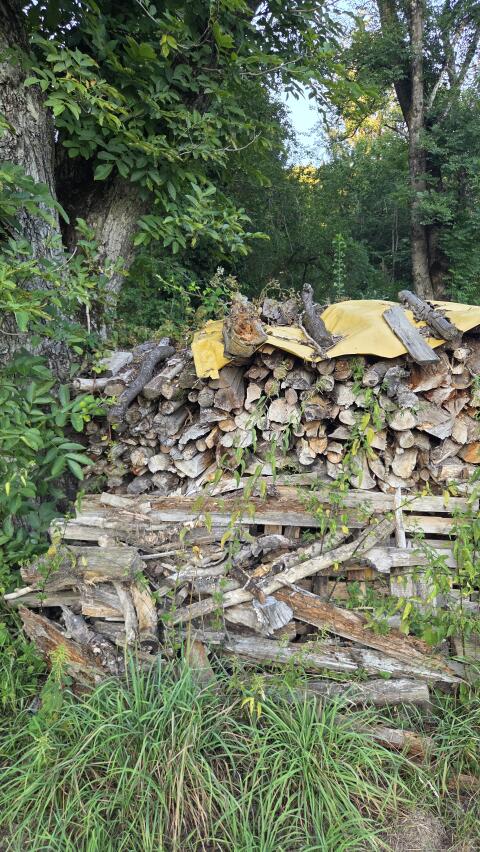 Brennholz 1 m