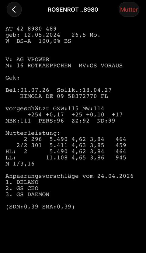 Mehrere BV, HF, BVxHF Kalbinnen zu verkaufen