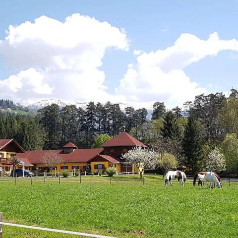 Einstellplatz frei