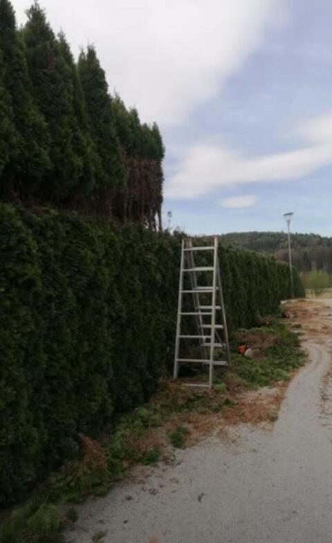 Übernehme Gartenarbeiten!