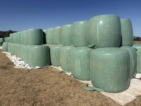 Verkaufe Mais-Silageballen