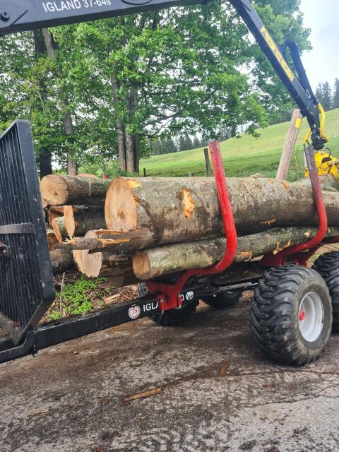 Holzstämme Hartholz