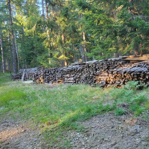 Brennholz