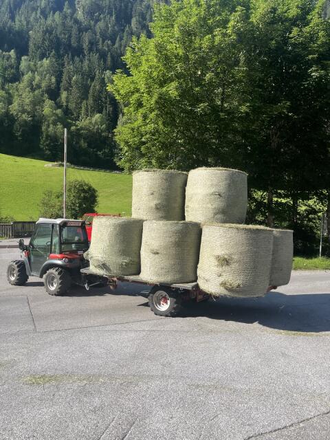 Suche Heu.